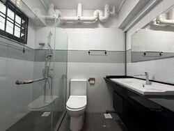 Blk 245 Compassvale Haven (Sengkang), HDB Executive #569712071